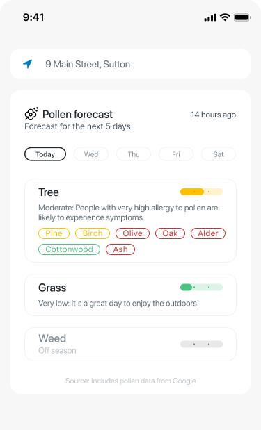 Stay Ahead with Pollen Insights