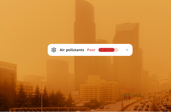 Wildfire Air Quality Issues