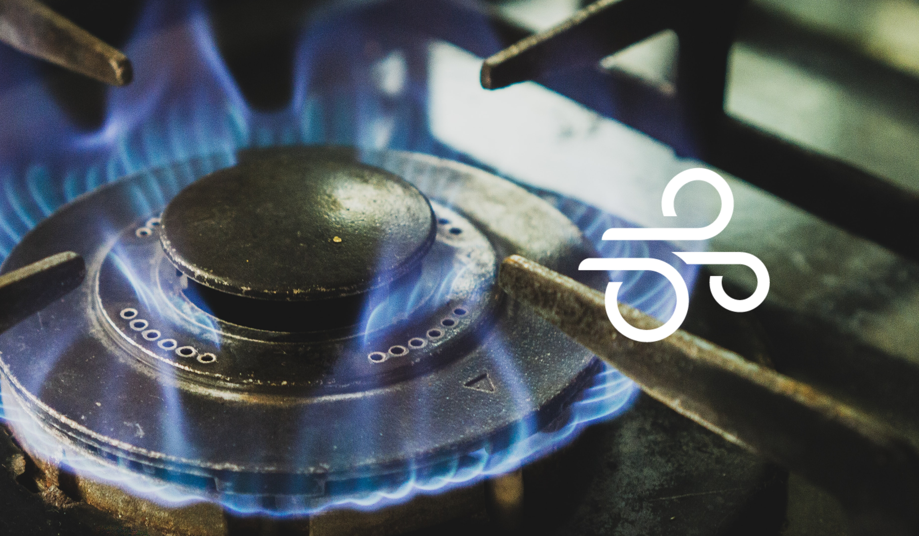 Are Gas Stoves Toxic? Gas Stoves and Air Quality - Molekule